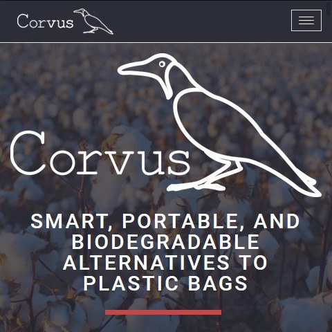 portfolio item cover